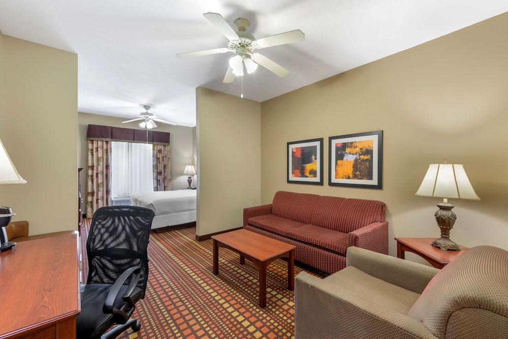 Suite, 1 King Bed, Non Smoking, Refrigerator & Microwave (with Sofabed) - Photo 1