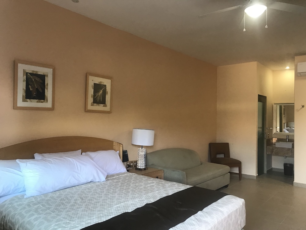 Suite, 1 King Bed photo 1
