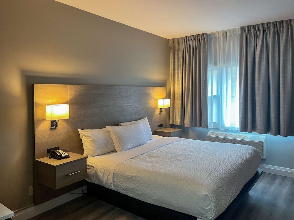 Deluxe Suite, 1 King Bed, Non Smoking, Kitchenette