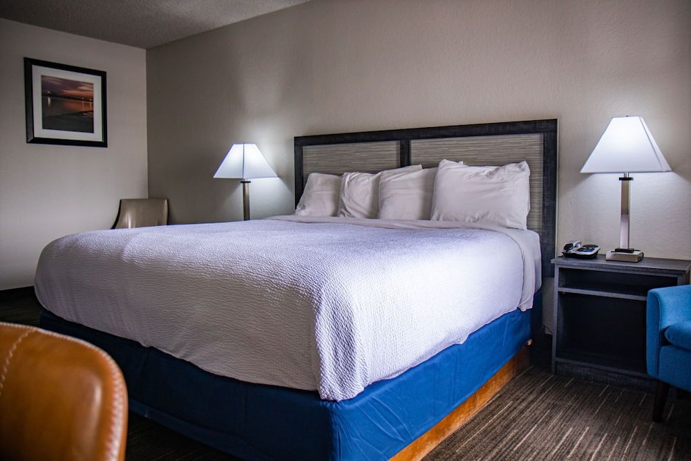 Deluxe Single Room photo 3
