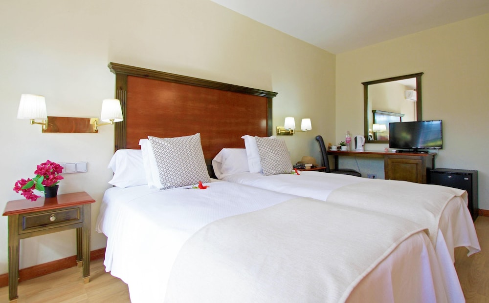 Standard Double Room, 2 Twin Beds