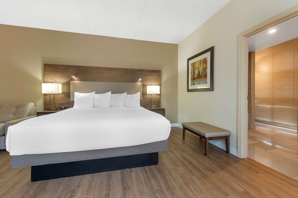 Standard Room, 1 King Bed with Sofa bed, Non Smoking, Jetted Tub (with Sofabed) photo 1