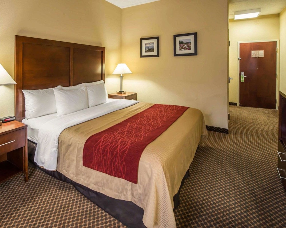 Room, 1 King Bed, Accessible, Non Smoking - Photo 4