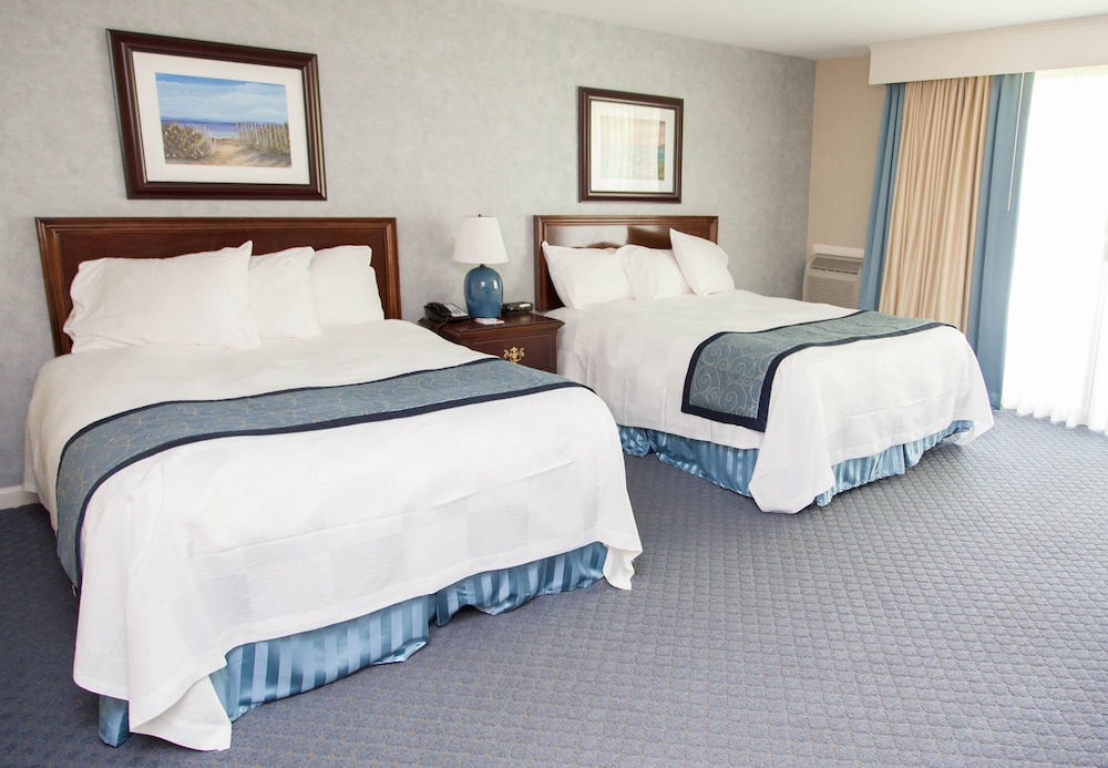 Premium Suite, Multiple Beds photo 3