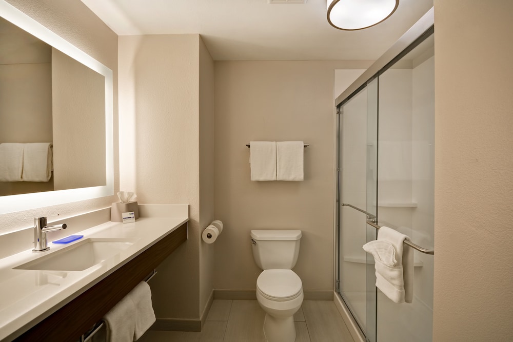 Suite, 1 King Bed (Extra Floor Space) - Photo 3