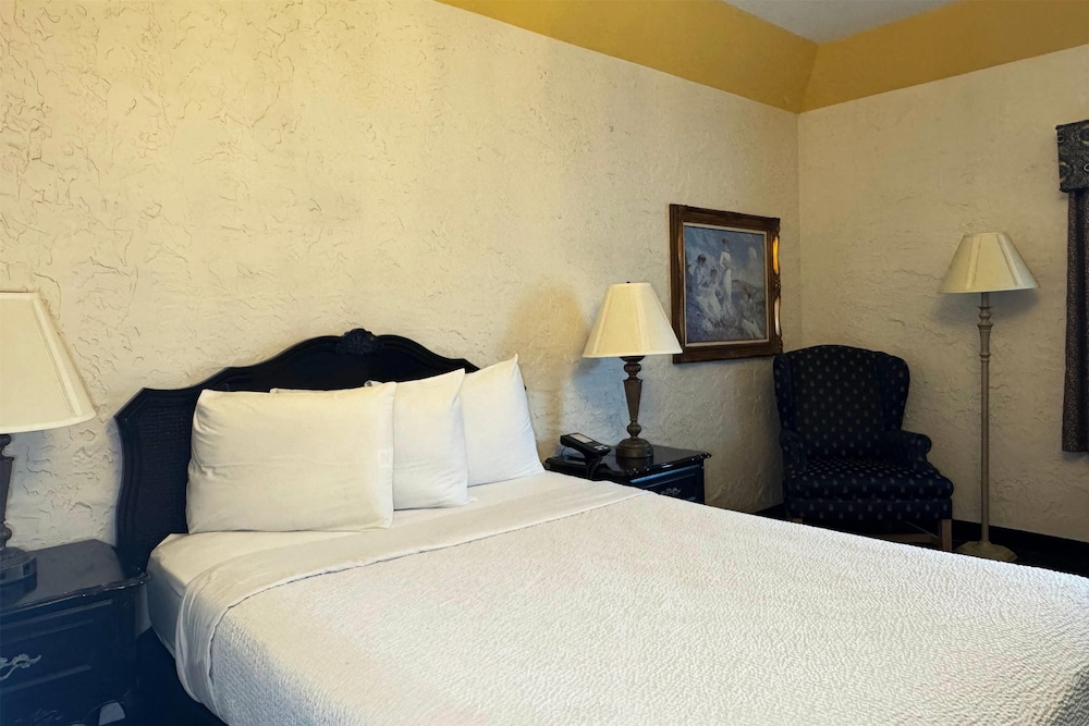 Room, 1 Queen Bed, Mobility Accessible, Non Smoking (Bathtub W/grab Bars) - Photo 1