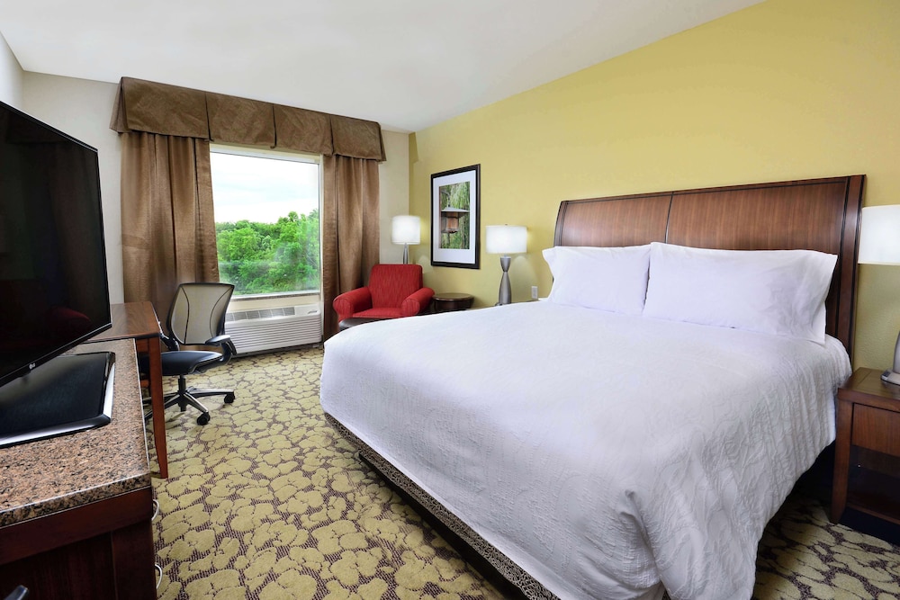 Room, 1 King Bed (Drinks & Snacks) photo 3