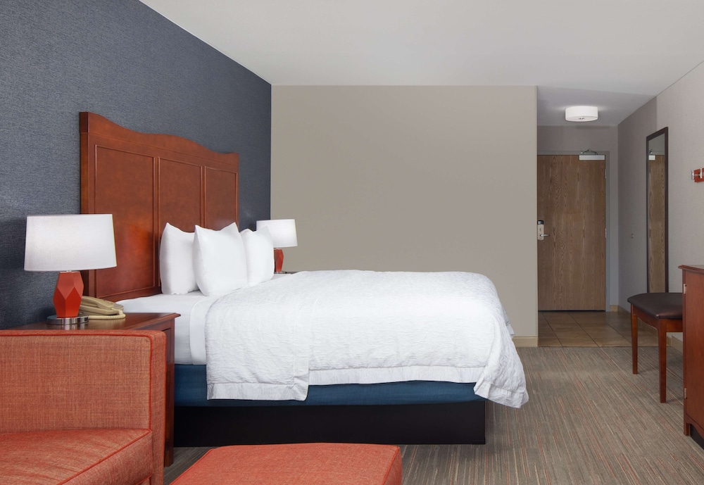 Room, 1 King Bed, Accessible, Non Smoking (Shower only) - Photo 4