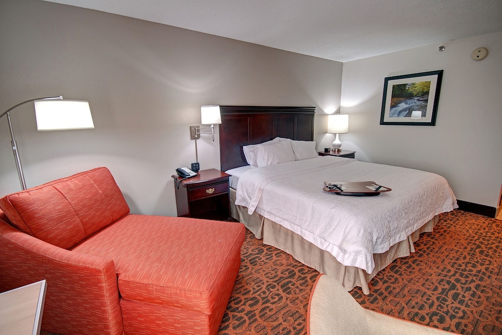 Room, 1 King Bed, Accessible - Photo 3