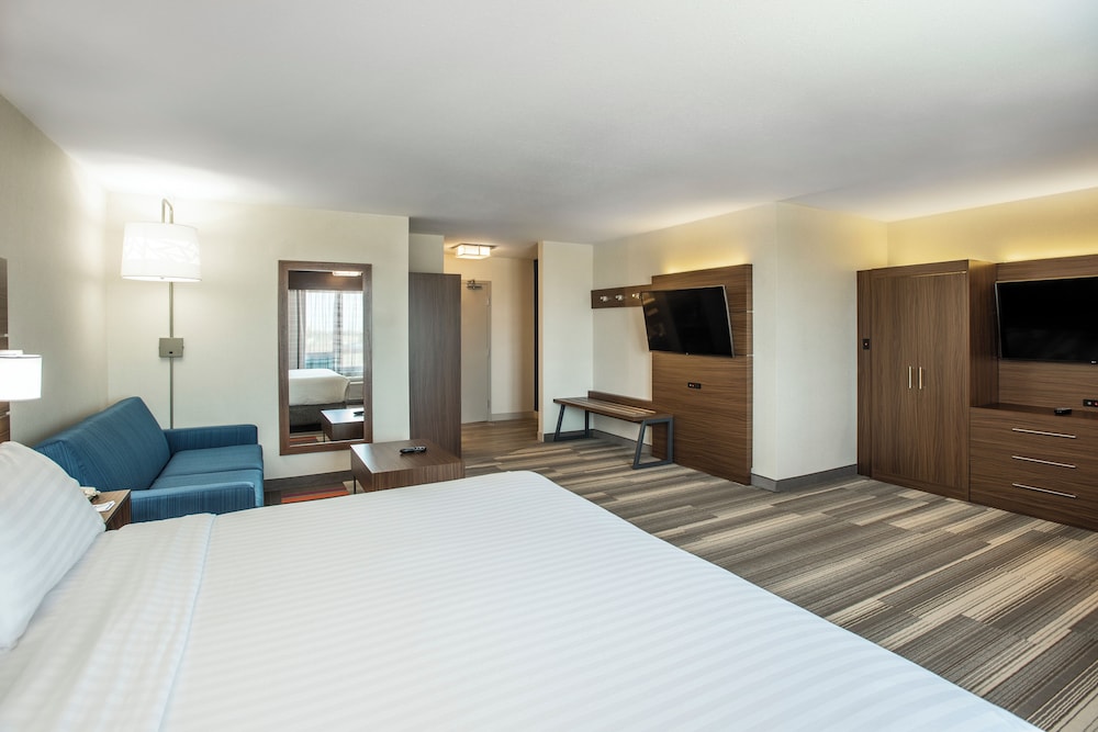 Suite, 1 King Bed with Sofa bed