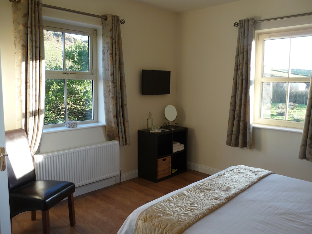 Double Room, 1 King Bed photo 2