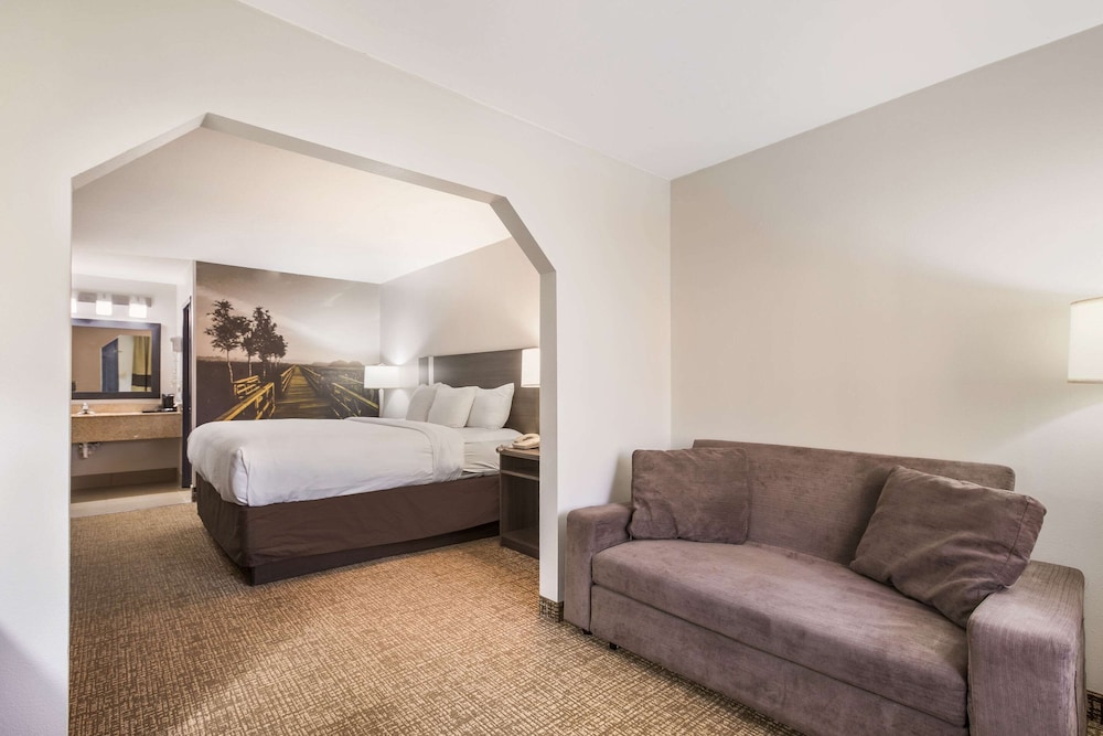 Suite, 1 King Bed, Non Smoking, Ground Floor photo 1