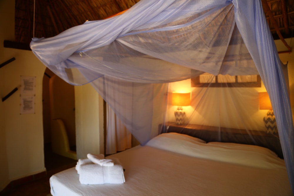 Room, Oceanfront (Neptuno) photo 1