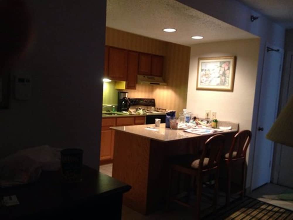 Studio Suite, 1 King Bed, Non Smoking (Roll-In Shower) photo 2
