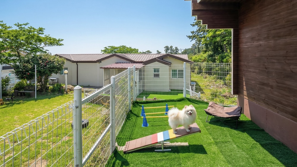 Basic Room, 2 Bedrooms (Badang — 1 Dog Free (Yard/BBQ))
