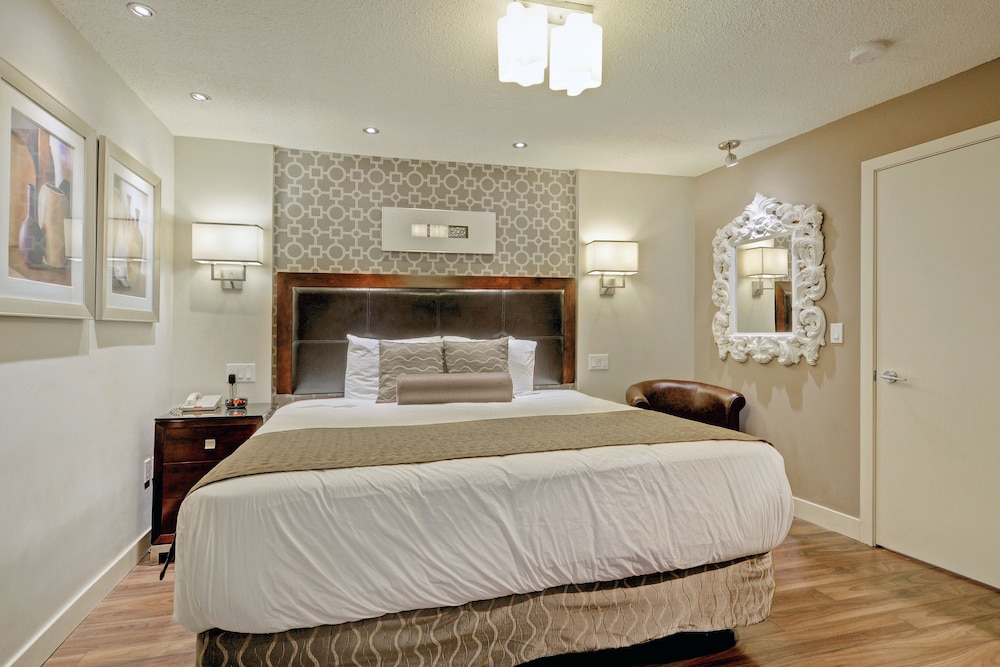 Basic Studio, 1 King Bed photo 3