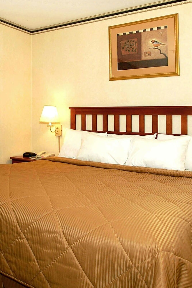 City Room photo 3