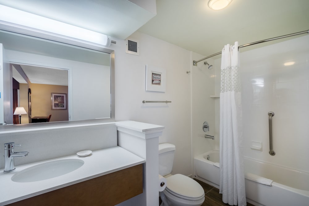 Suite, 1 King Bed, Non Smoking - Photo 5