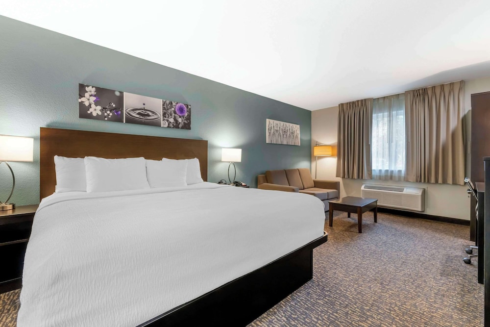 Suite, 1 King Bed, Non Smoking - Photo 1