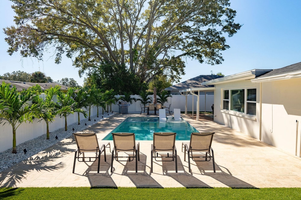 Beheizter Pool Hot tub Clearwater Dunedin Haustierfreundlich, Foto 26
