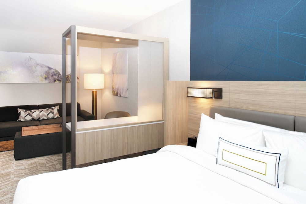 Suite, 1 King Bed with Sofa bed (Mobility/Hearing Access, Roll-in Shwr) photo 1