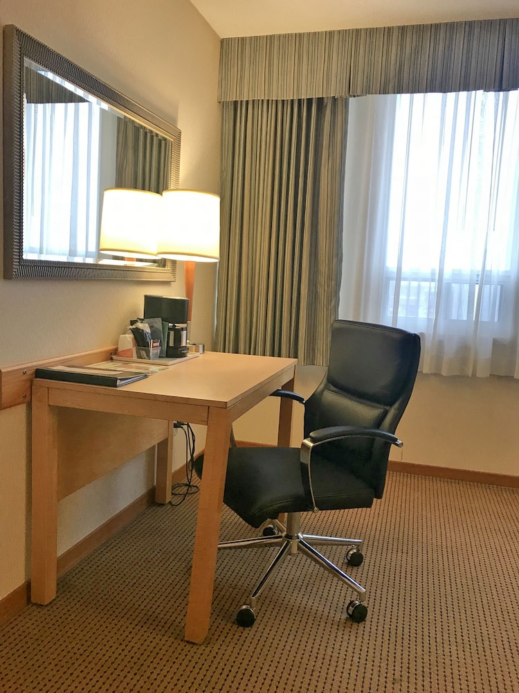 Suite, 1 King Bed with Sofa bed, Non Smoking photo 2
