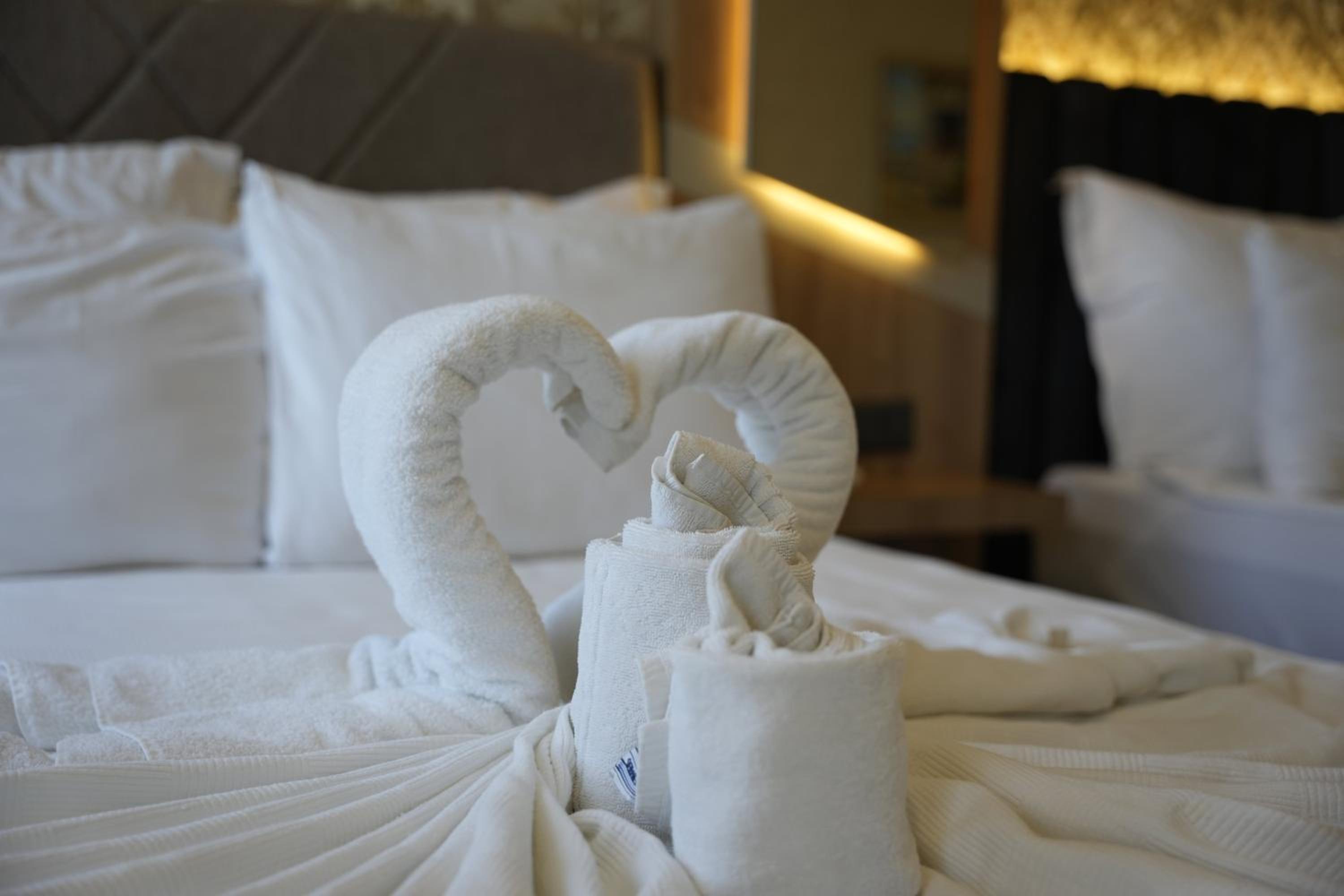 Superior Room - Photo 12