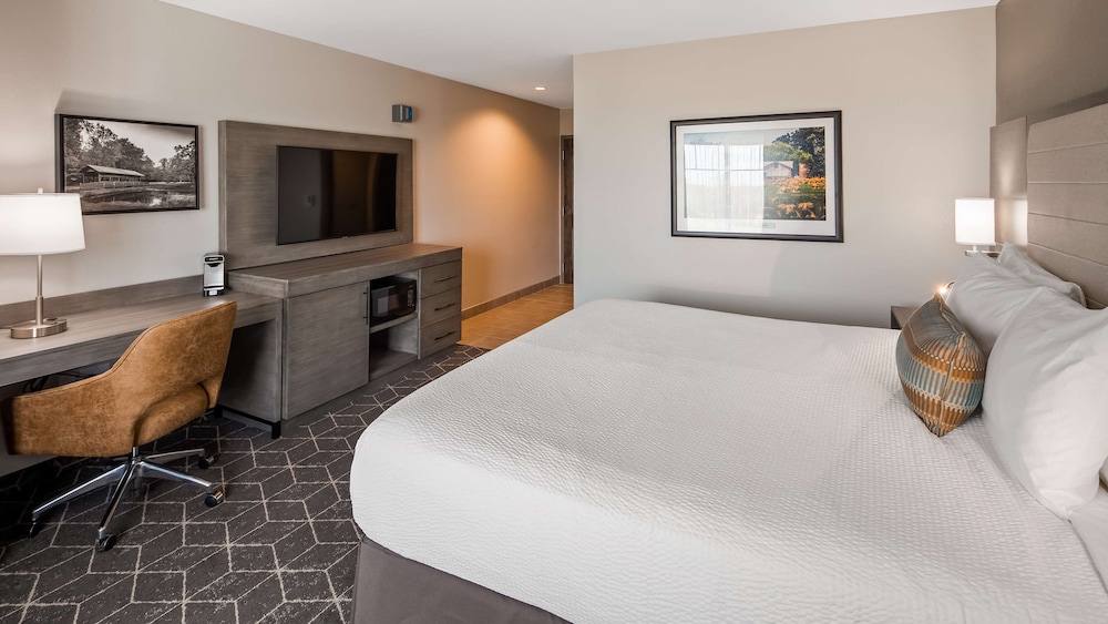 Standard Room, 1 King Bed, Non Smoking, Refrigerator & Microwave - Photo 3