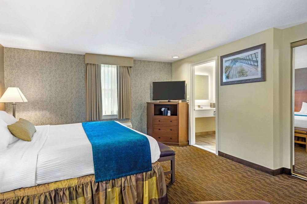 Standard Room, 1 King Bed, Non Smoking, Refrigerator & Microwave - Photo 3
