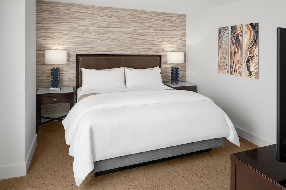 Club Suite, 1 King Bed with Sofa bed (Mobility/Hearing Access, Roll-in Shwr) photo 2