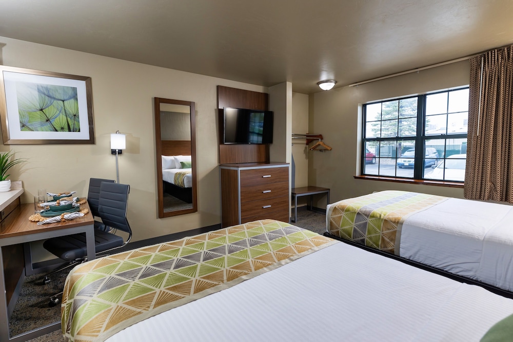 Executive Suite, 2 Double Beds photo 3
