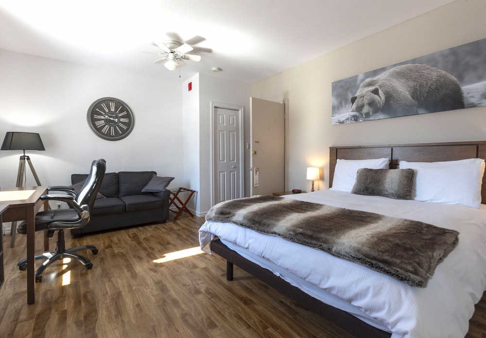 Superior Room, 1 Queen Bed photo 1
