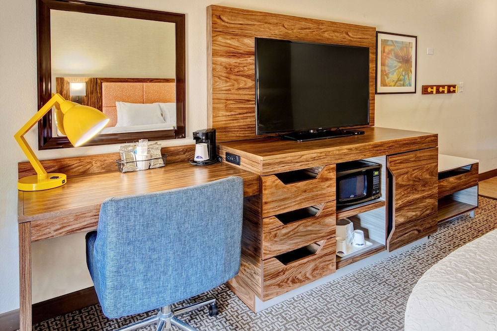 Room, 1 King Bed, Accessible