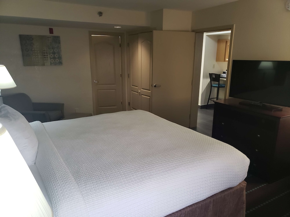 Executive Suite, 1 King Bed, Non Smoking, Refrigerator & Microwave - Photo 3