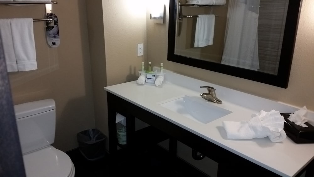 Holiday Inn Express and Suites Atascocita - Humble - Kingwood by IHG, Foto 2