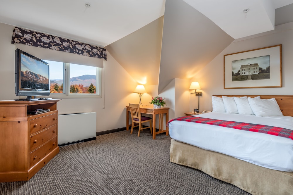 Suite, 1 Queen Bed with Sofa bed photo 1