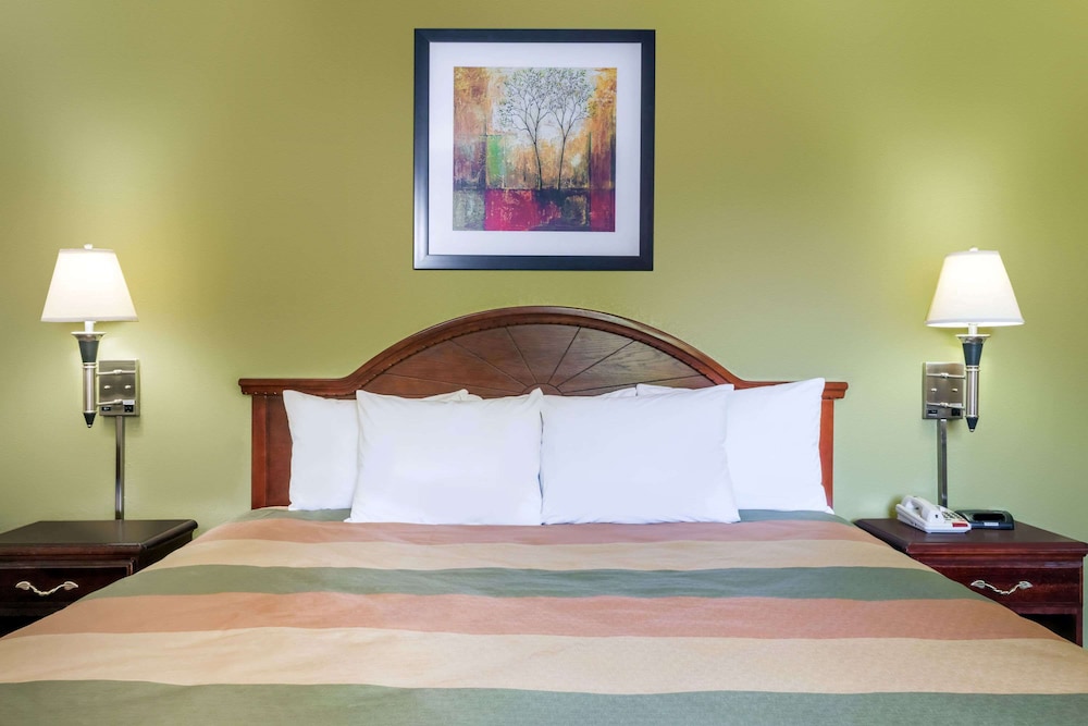 Studio Suite, 1 King Bed, Smoking - Photo 2
