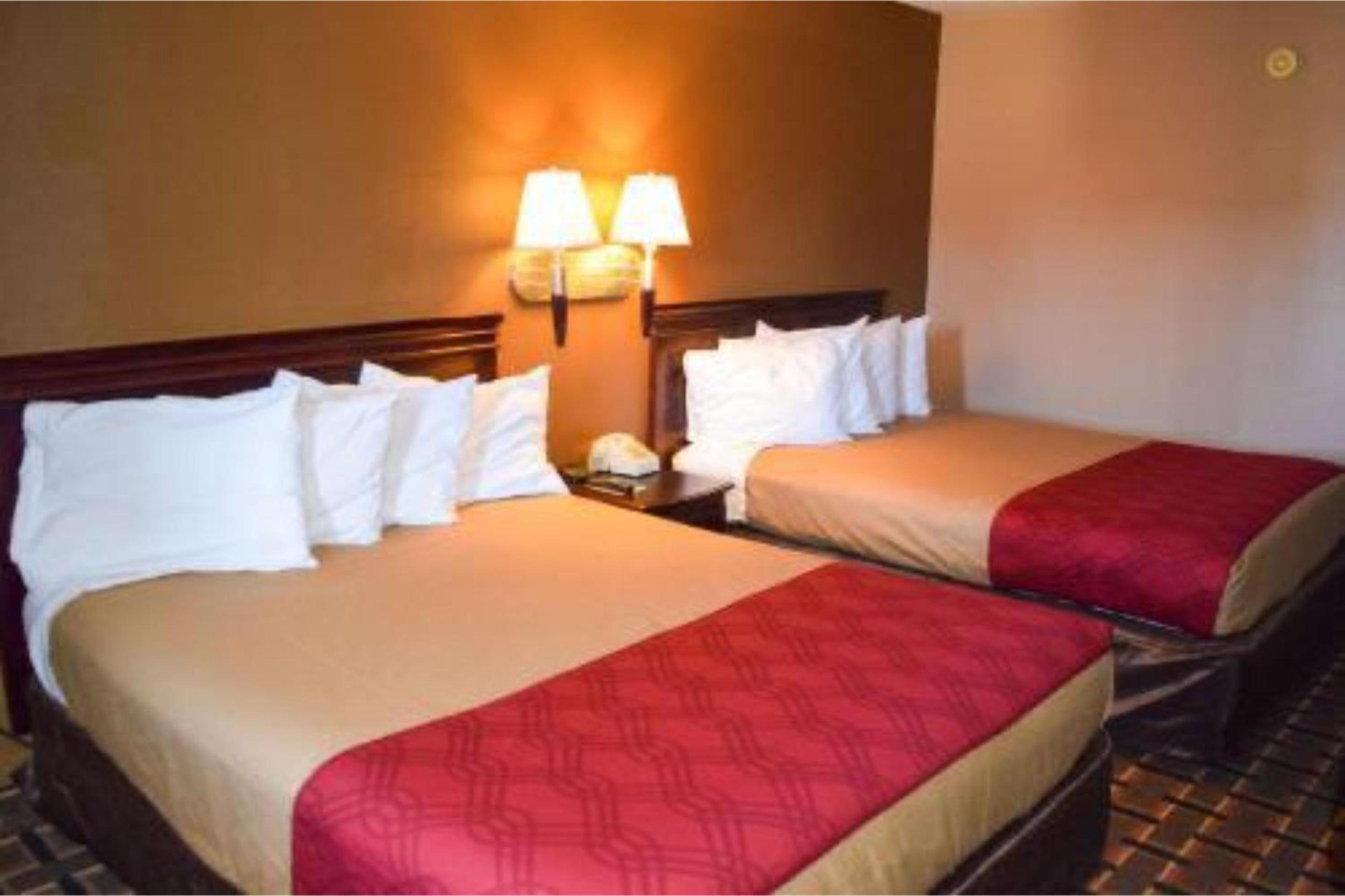 Single Bed Non-Smoking photo 2