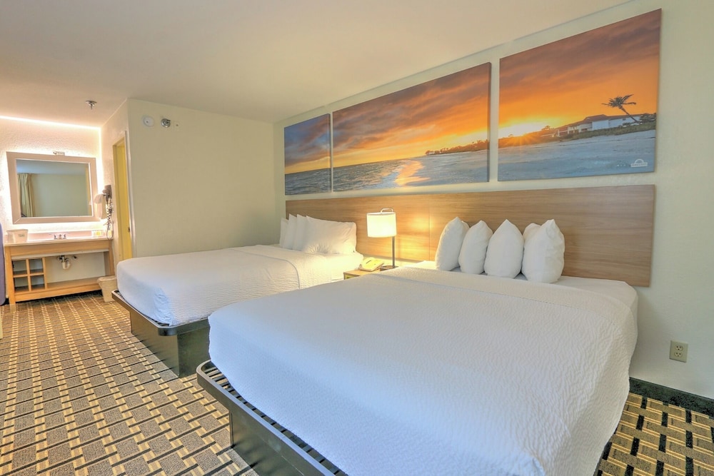 Suite - Photo 3