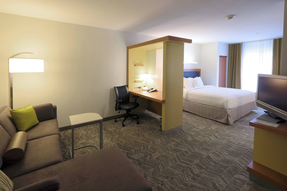 Suite, 1 King Bed with Sofa bed