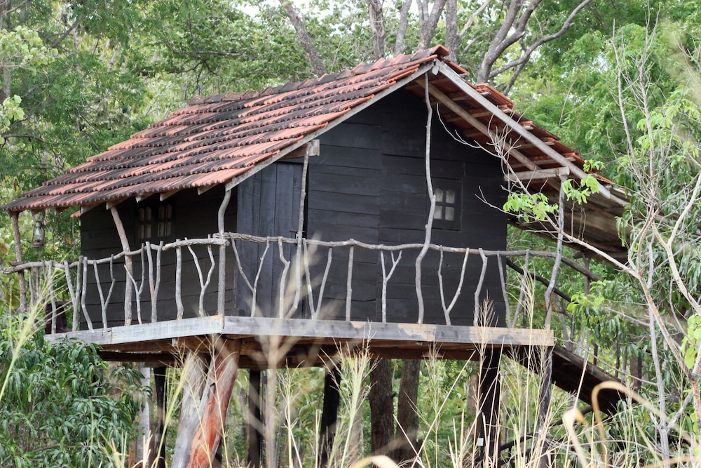 Classic Tree House, 1 Double Bed, Garden View, Garden Area photo 2