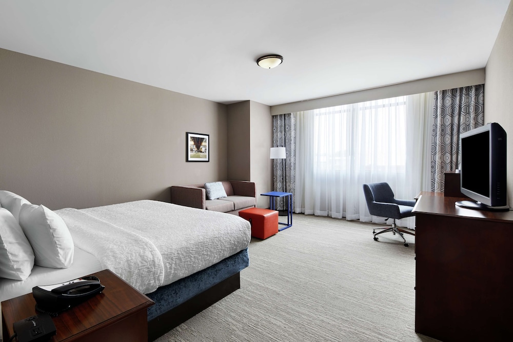 Room, 1 King Bed With Sofa Bed, Non Smoking - Photo 1