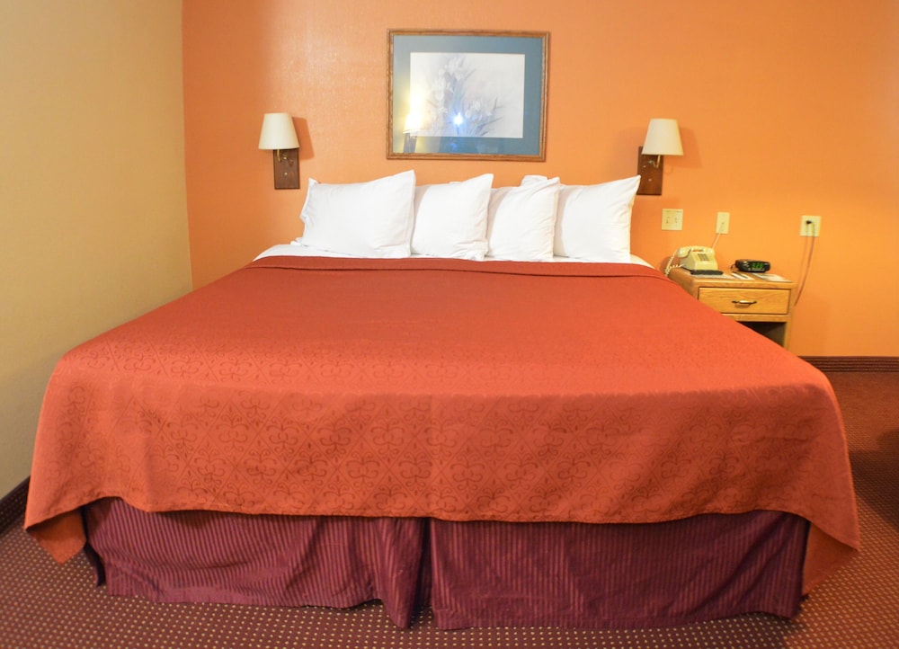 Comfort Single Room photo 3