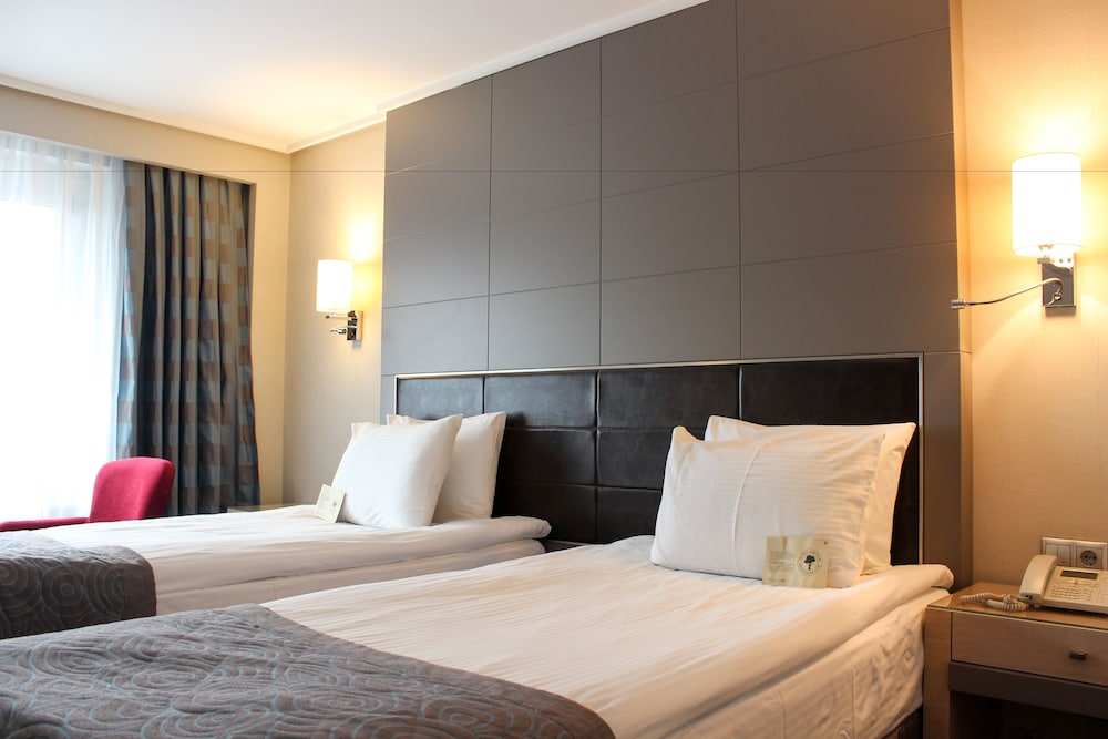 Single Room photo 2