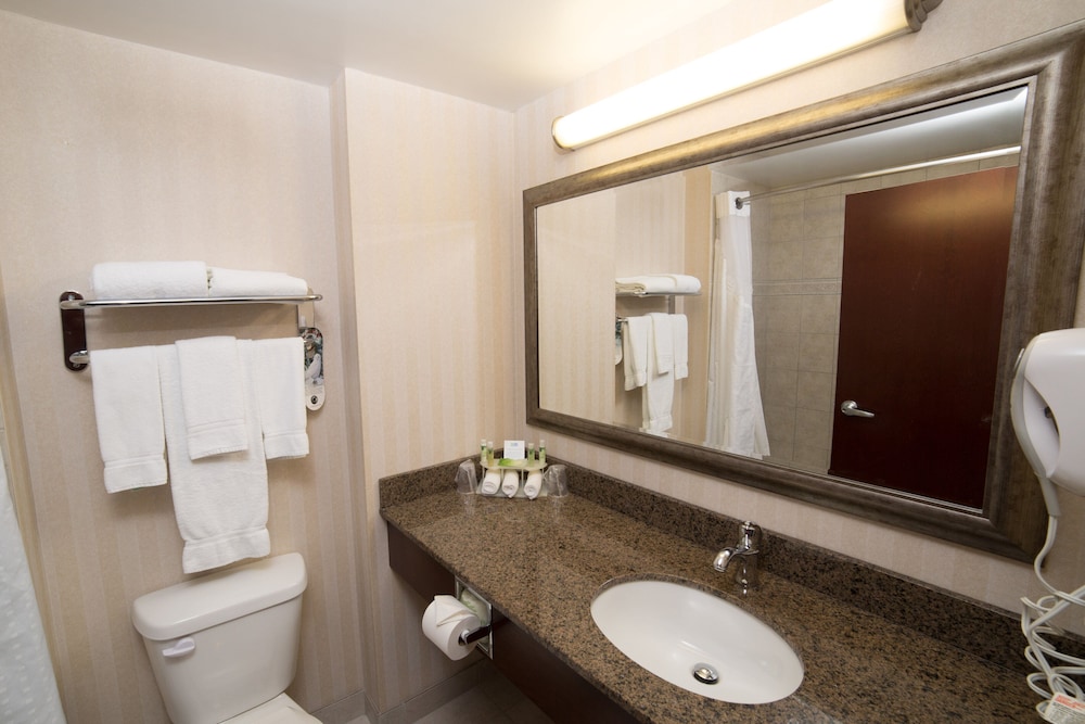 Suite, 1 King Bed, Microwave - Photo 8