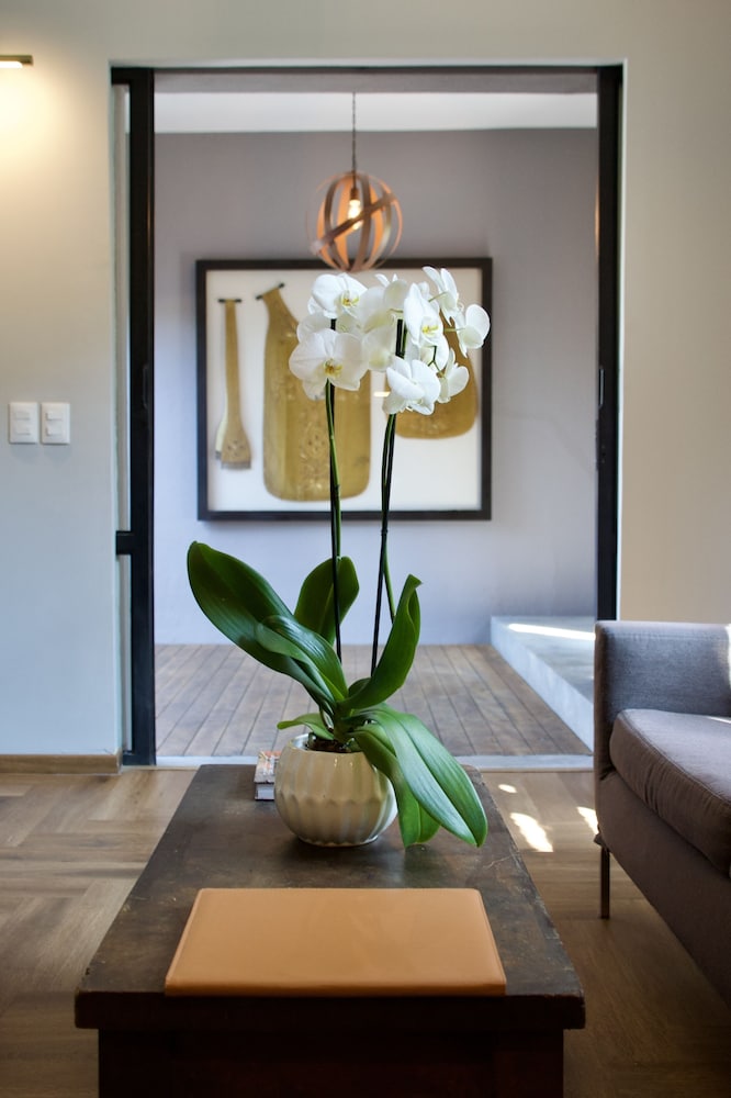 Design Chalet photo 3