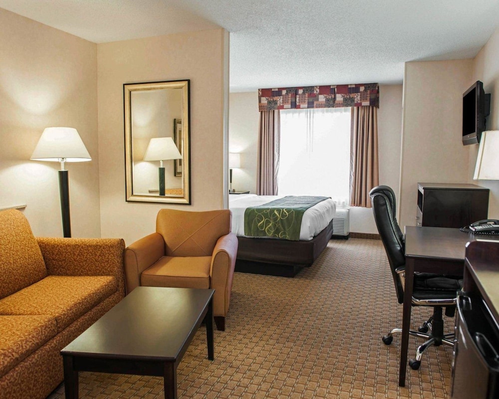 Suite, 1 King Bed with Sofa bed, Accessible, Non Smoking - Photo 1