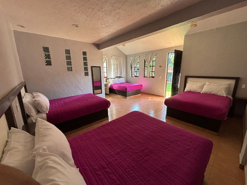 Family Room (Extra) photo 1