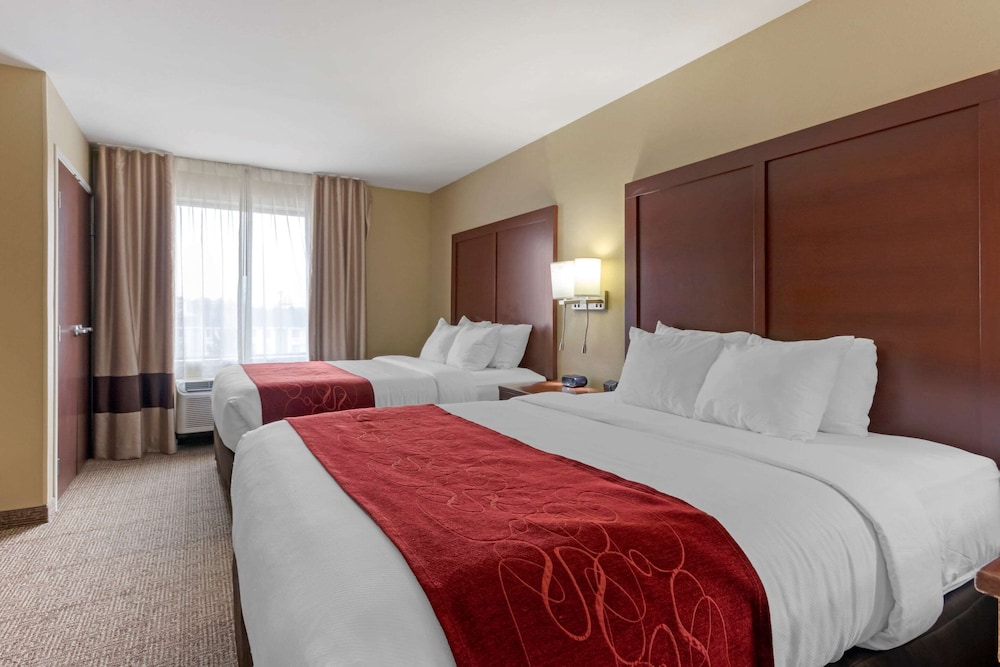 Suite, Multiple Beds, Accessible, Bathtub photo 3