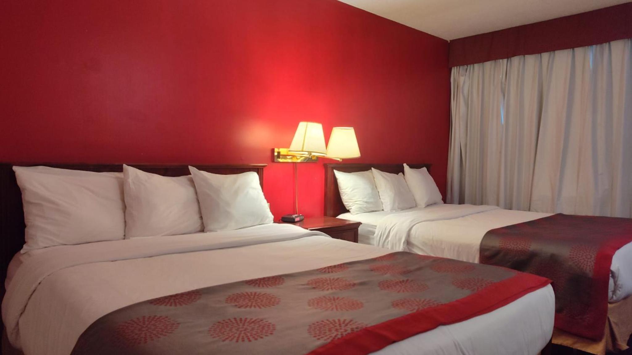 Standard Queen Room photo 3